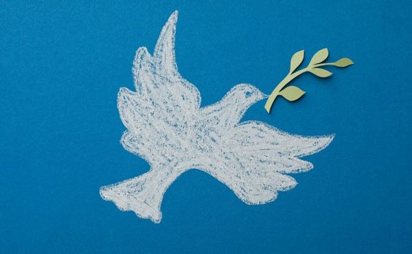 Peace Pigeon Rosie Frew